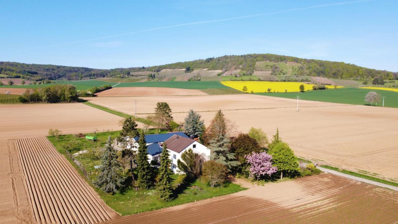 Ferienwohnungen Rosenhof คาร์ลชตัดท์ ภายนอก รูปภาพ